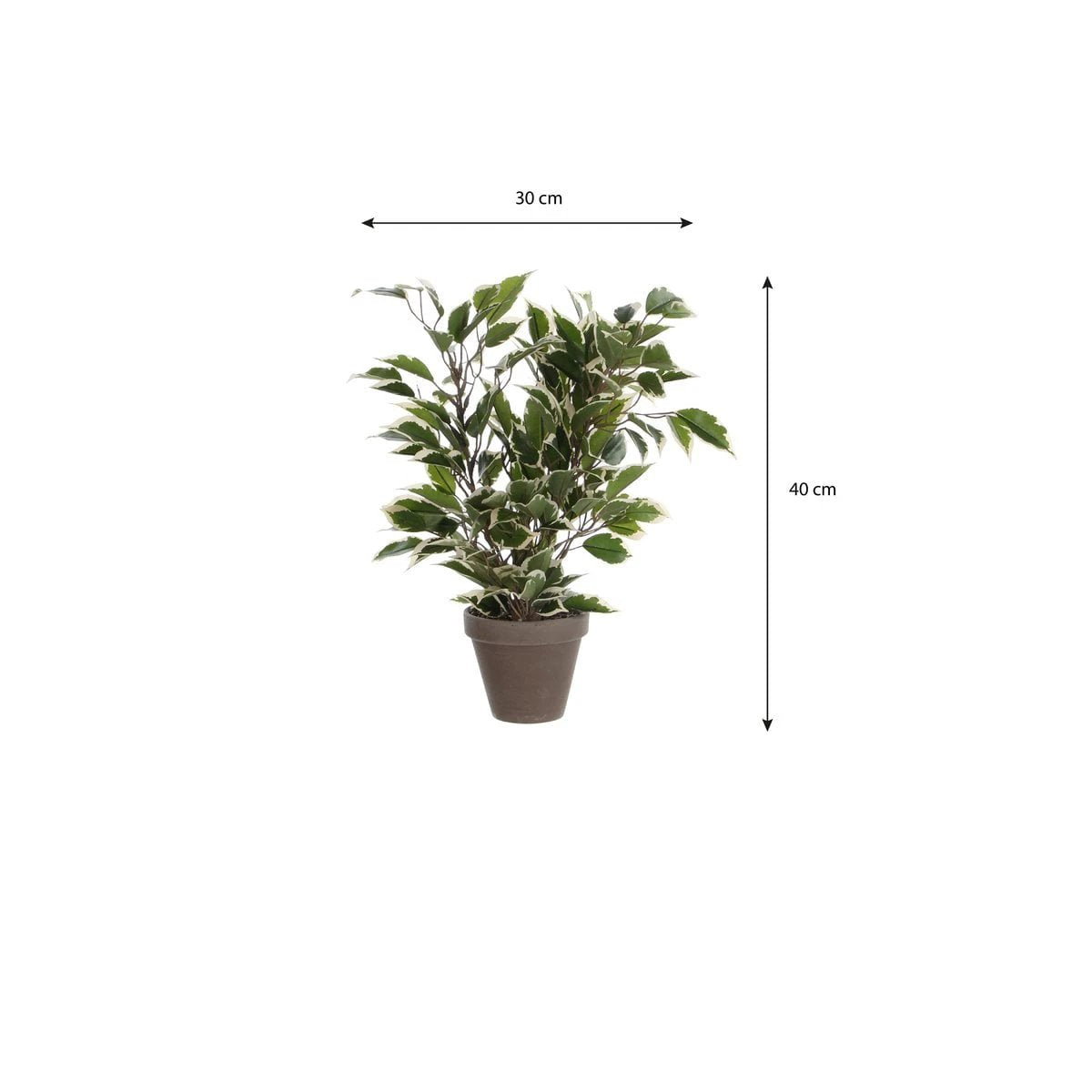 Artificial plant Ficus natasja Green by Mica Decorations