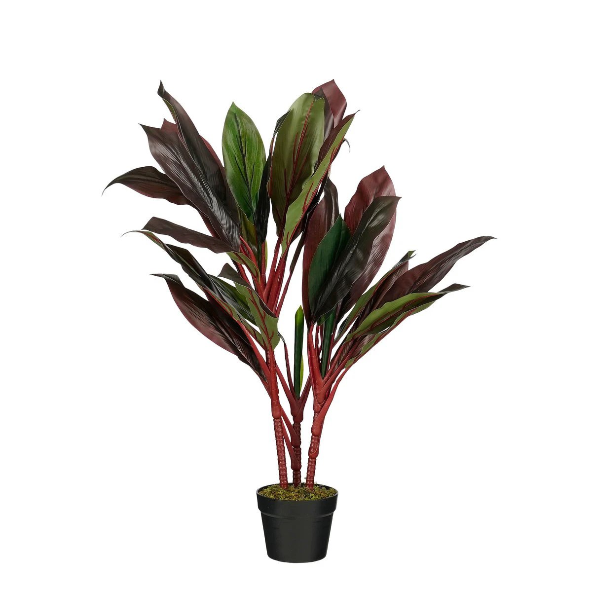 Artificial plant Cordyline Red by Mica Decorations