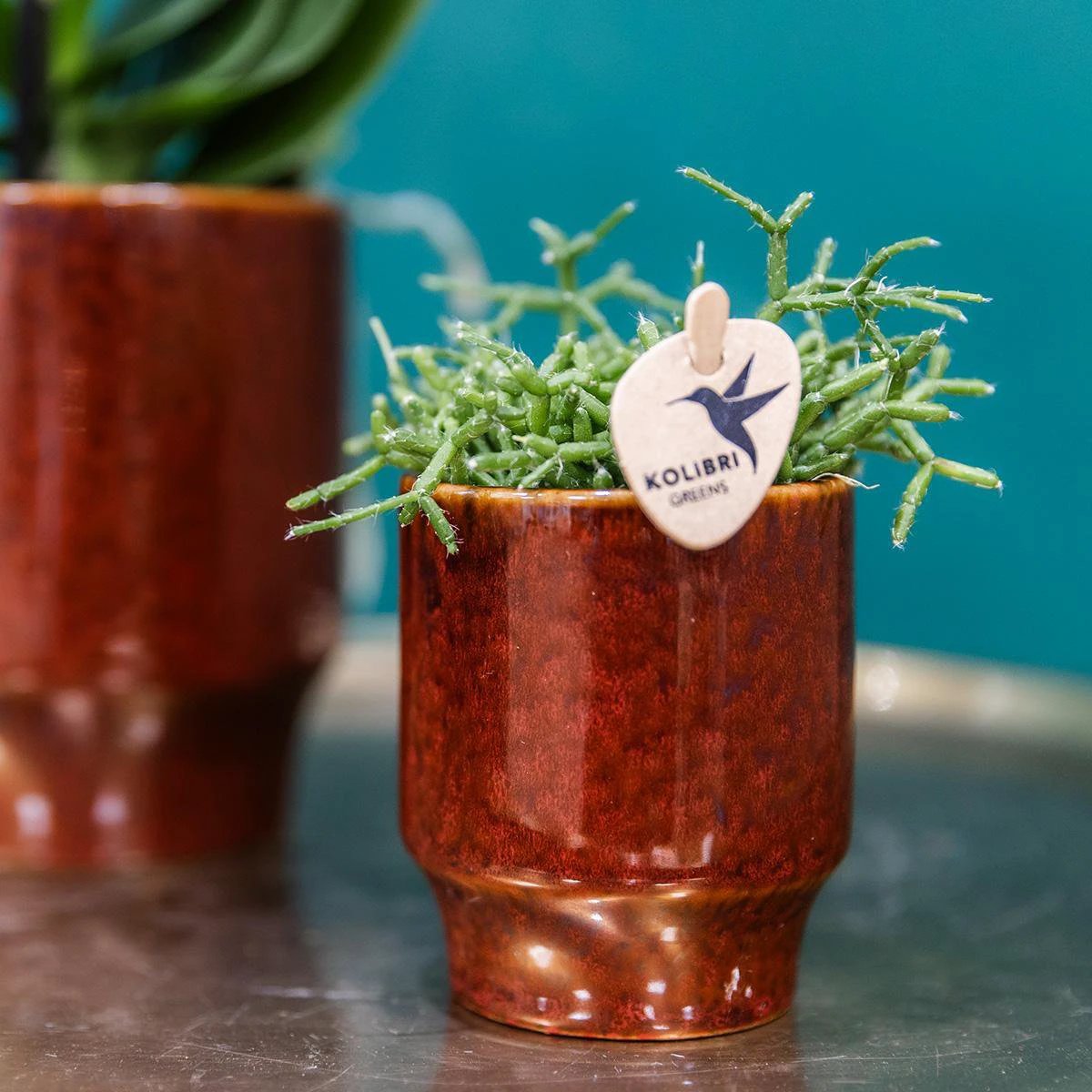 Hummingbird Home | Classy red - Ø6cm by Kolibri Company
