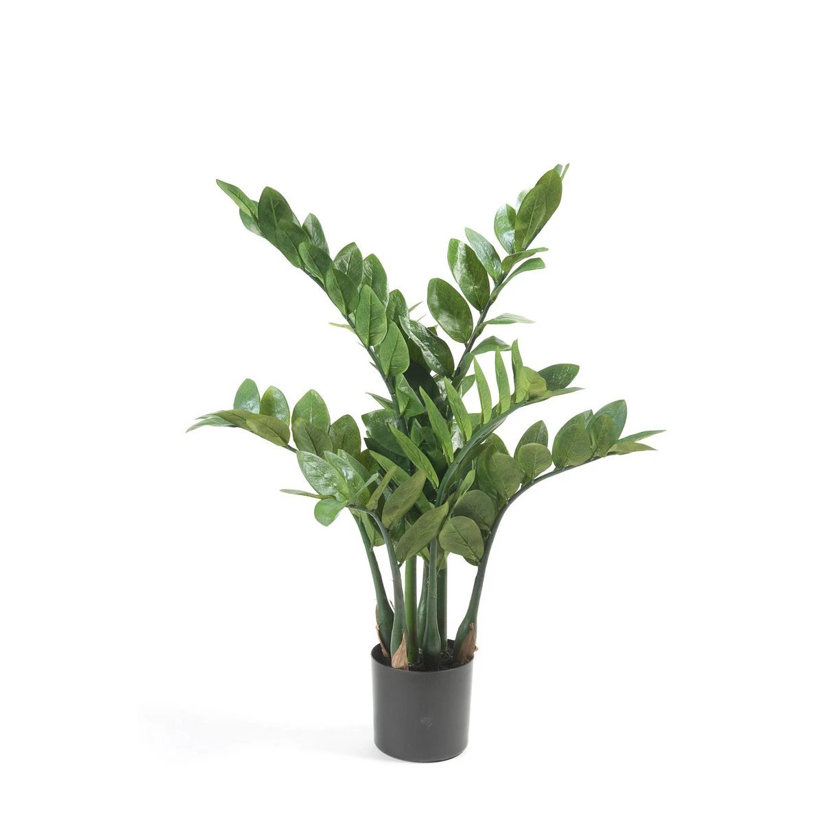 Kunstpflanze – Zamioculcas – Stadtpalme – 70 cm von Green boutiQ