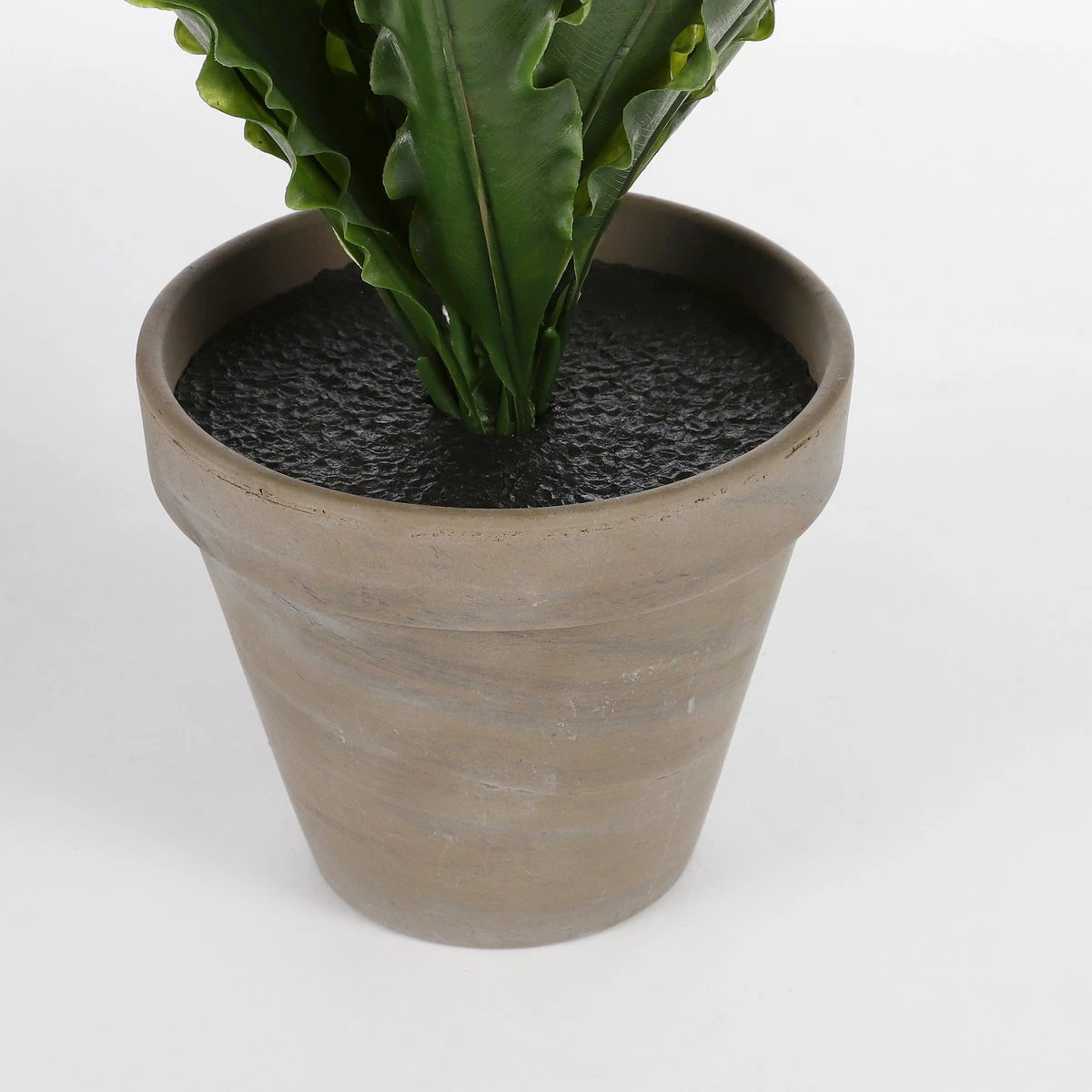 Artificial plant Asplenium Green by Mica Decorations