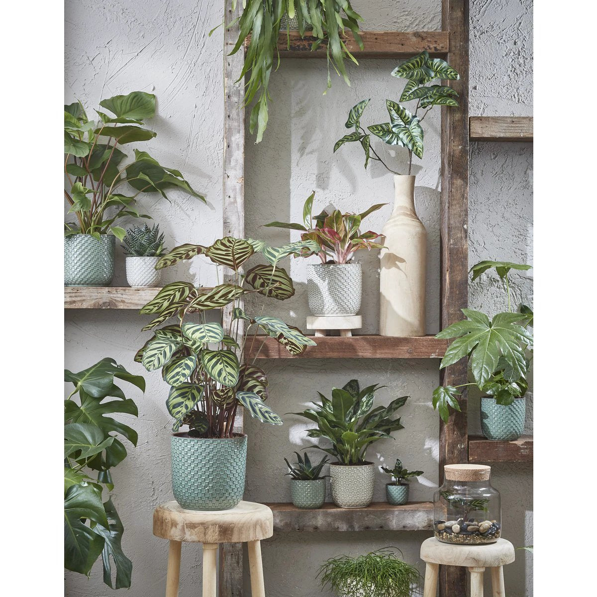 Flowerpot inside Daan Wit by Mica Decorations