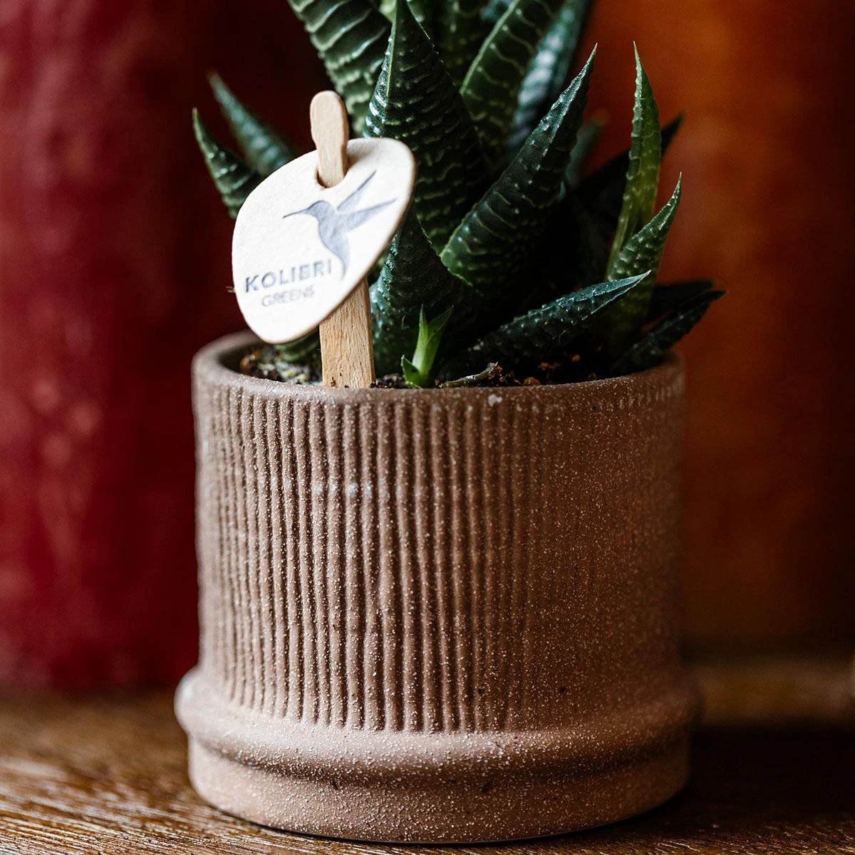 Hummingbirds Home | Bali sierpot - Brown - Ø6cm by Kolibri Company