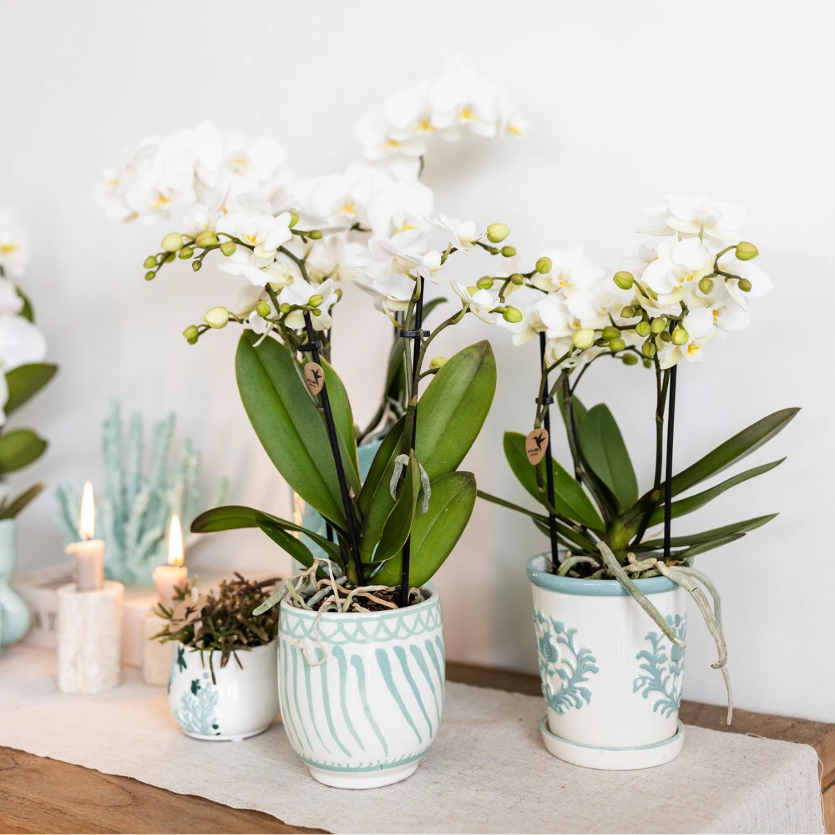 Kolibri Home I Malaga pot - Turquoise - Ø9cm by Kolibri Company