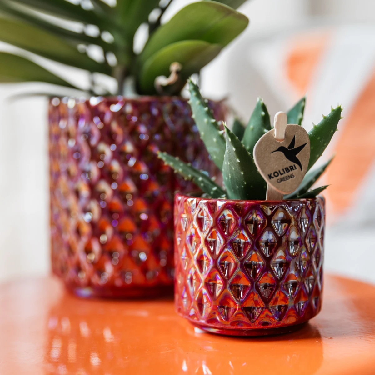 Kolibri Home | Diamond pearl sierpot - Red - Ø6cm by Kolibri Company