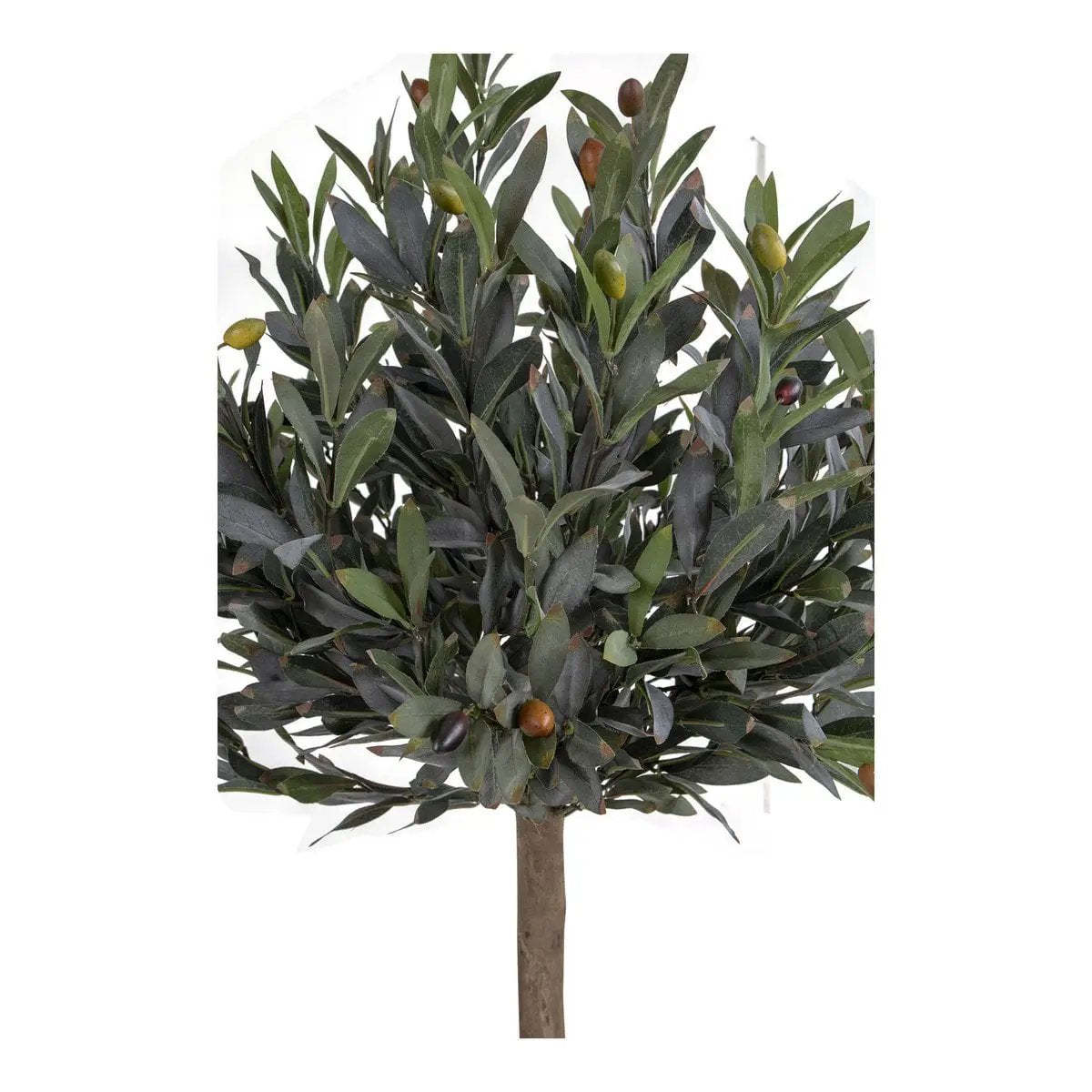 Olive Tree - Green, PE Plastic/Polyester, 43x47x120 cm by EMIRELLE