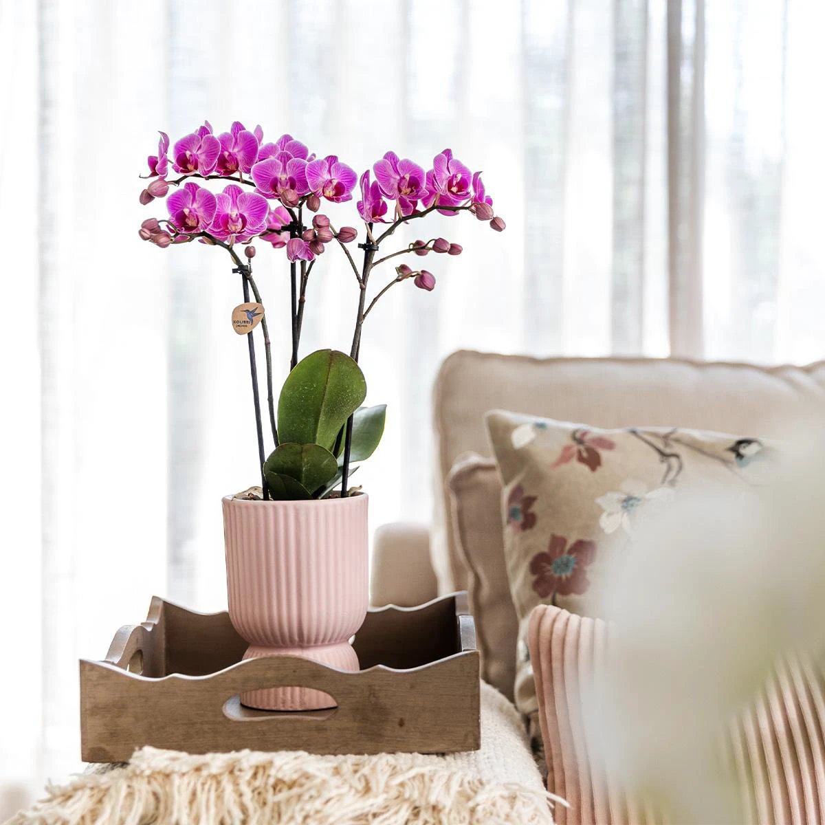 Hummingbird Home | Diabolo pot pink - Ø12cm by Kolibri Company