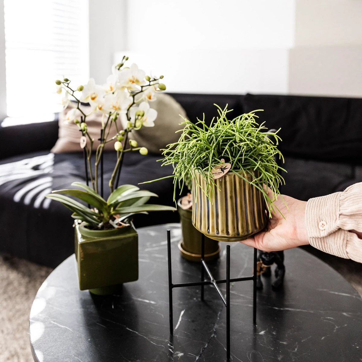 Hummingbird Home | Plant stand - Black metal plant raiser Ø12cm by Kolibri Company