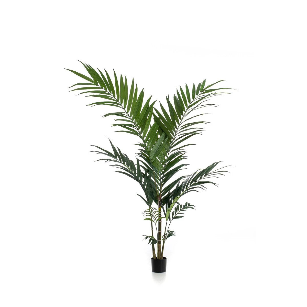 Kunstpflanze – Kentia – Kentiapalme – 150 cm von Green boutiQ