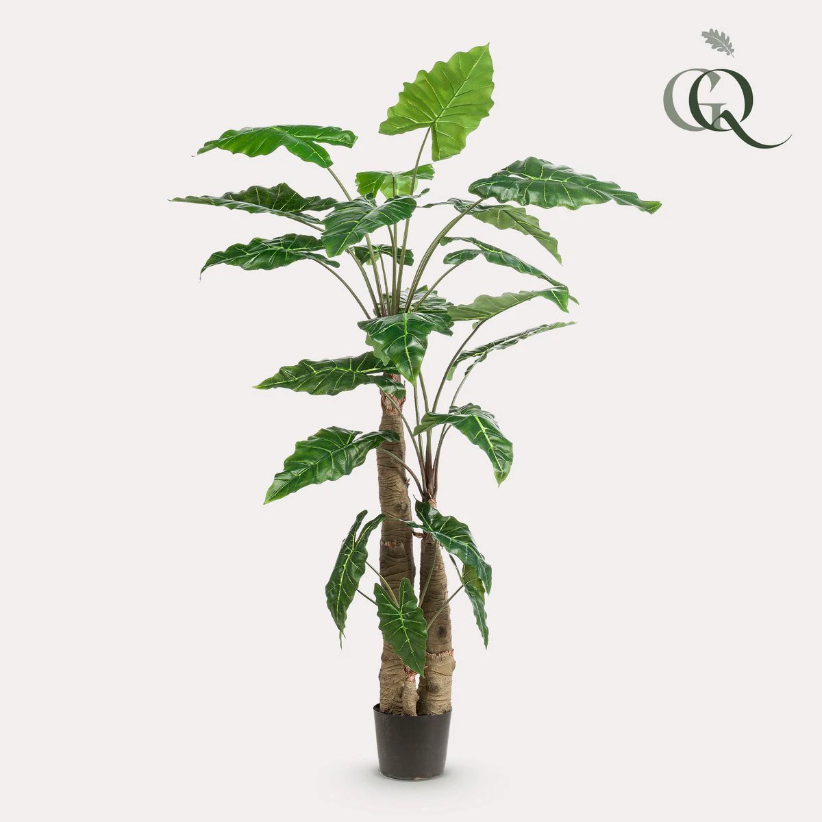 Art plant - Alocasia - Elephants ear - 180 cm by Green boutiQ