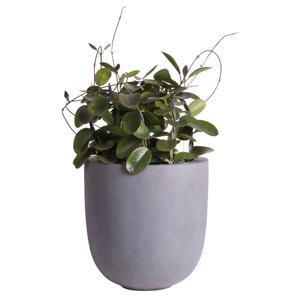 Plantenpot - Ducos big grey by Vase The World