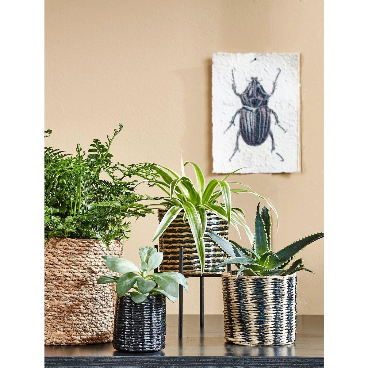 Plant basket set Atlantic Light brown by Mica Decorations