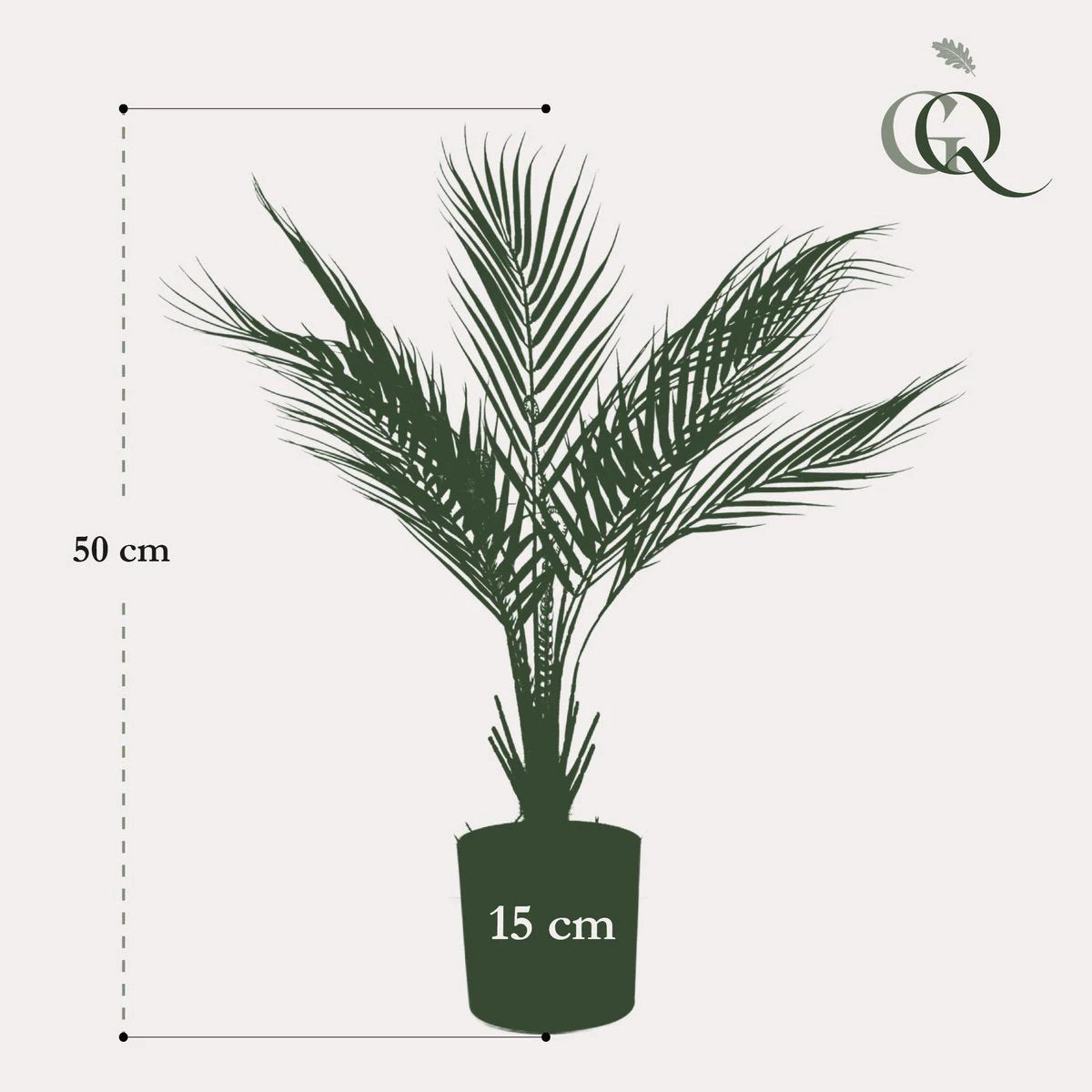 Art plant - Chamaedorea - Bergpalm - 50 cm by Green boutiQ