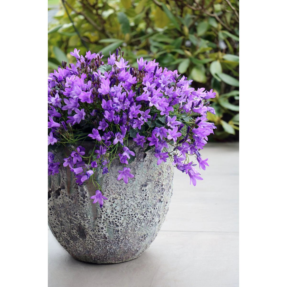 Plantenpot - Laki oceanic coral set Ø36/25 x H34/25 cm - (set van 2) by Vase The World