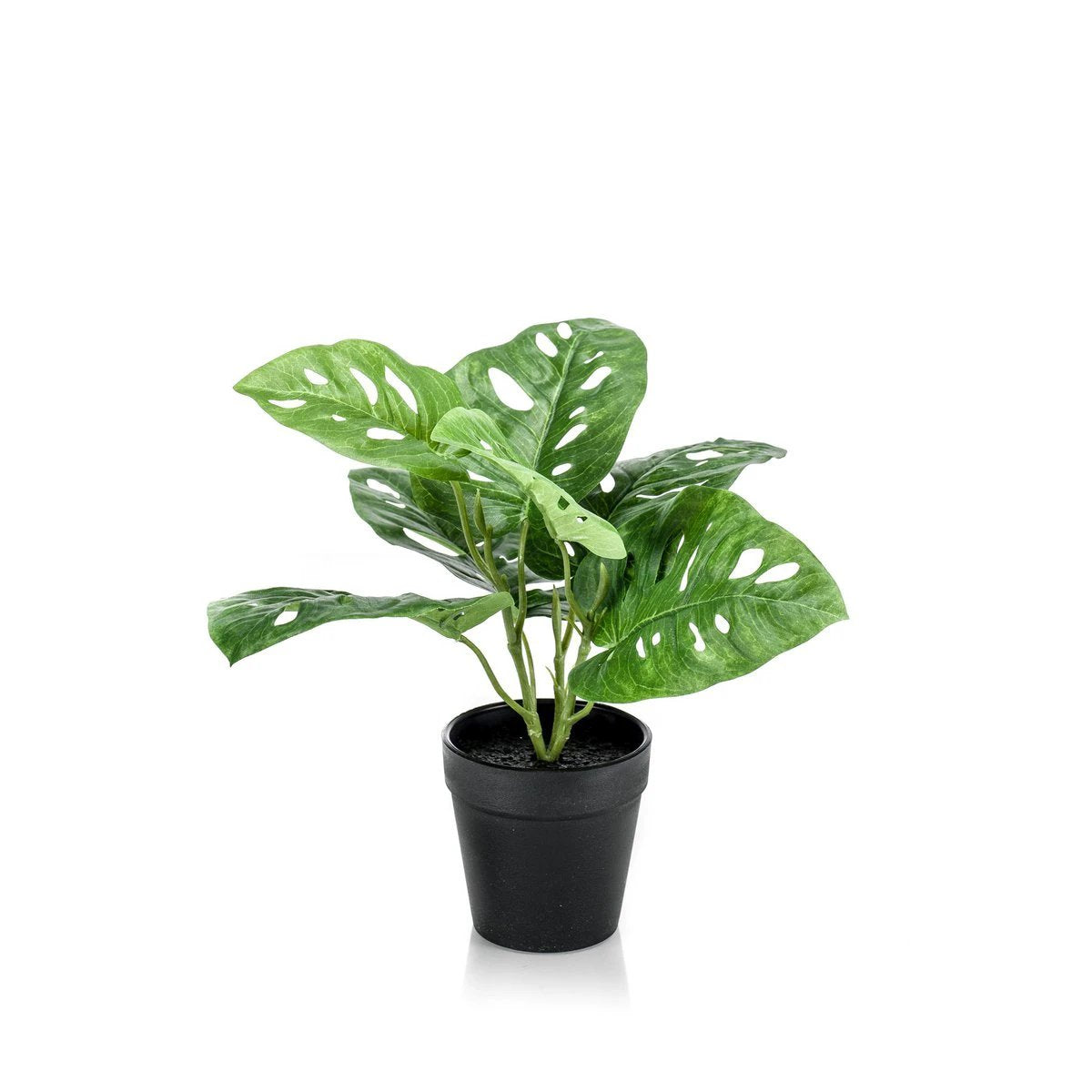 Artificial plants - Monstera Monkey - Hole plant - 29 cm by Green boutiQ