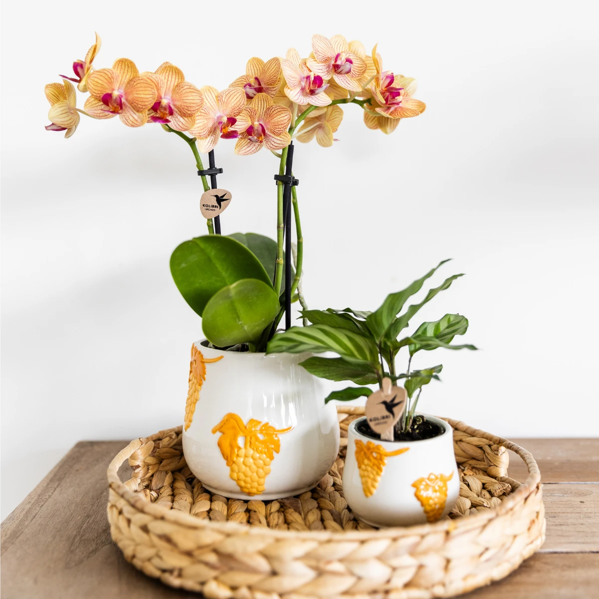 Kolibri Home I Grape pot - Orange - Ø9cm by Kolibri Company