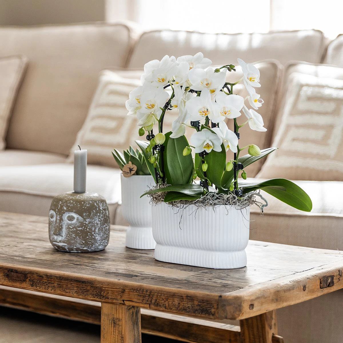 Hummingbird Home | Diabolo pot white - Ø6cm by Kolibri Company