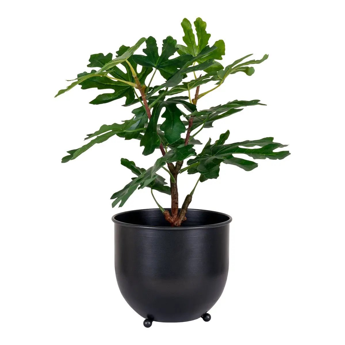 Fig Tree - Green, PE Plastic, H:60 cm by EMIRELLE