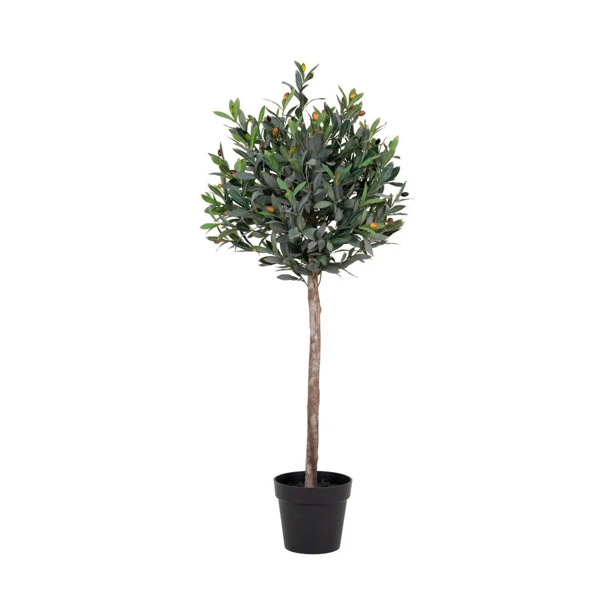 Olive Tree - Green, PE Plastic/Polyester, 43x47x120 cm by EMIRELLE