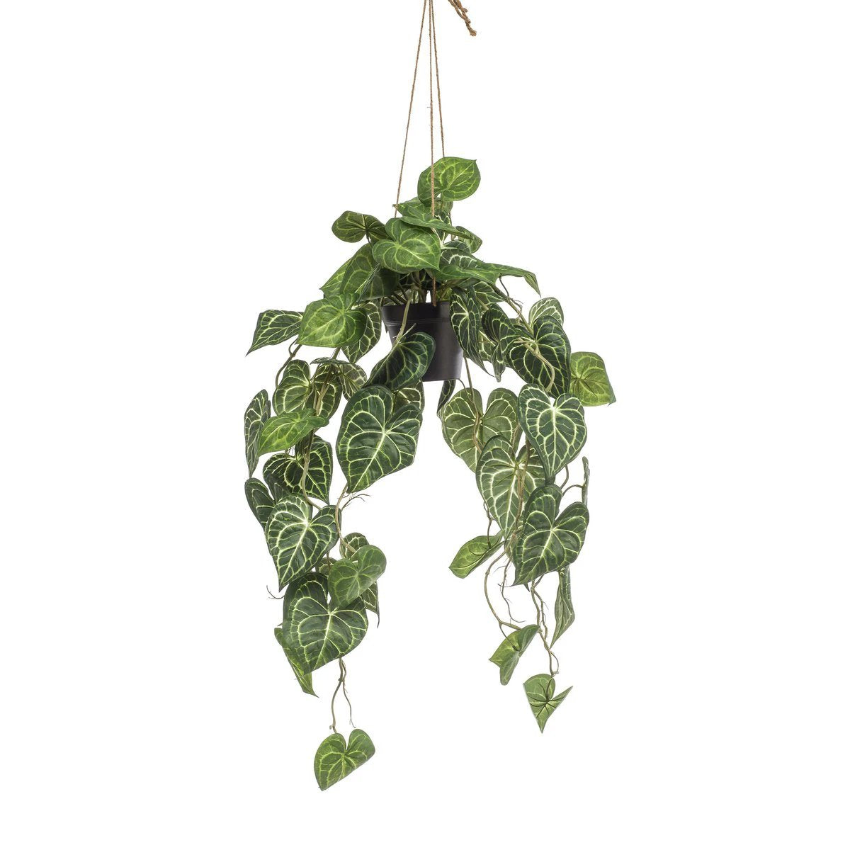 Kunstpflanze – Anthurium Clarinervium – Aderpflanze – 80 cm von Green boutiQ