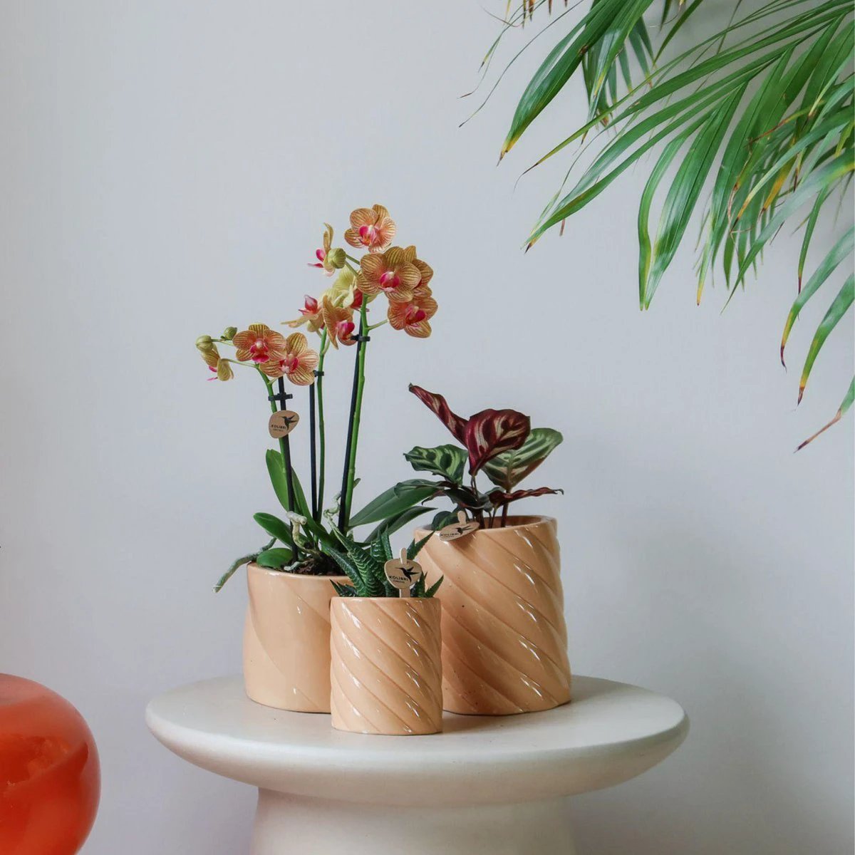 Hummingbird Home | Candy decorative pot | High - Peach - Ø6cm by Kolibri Company