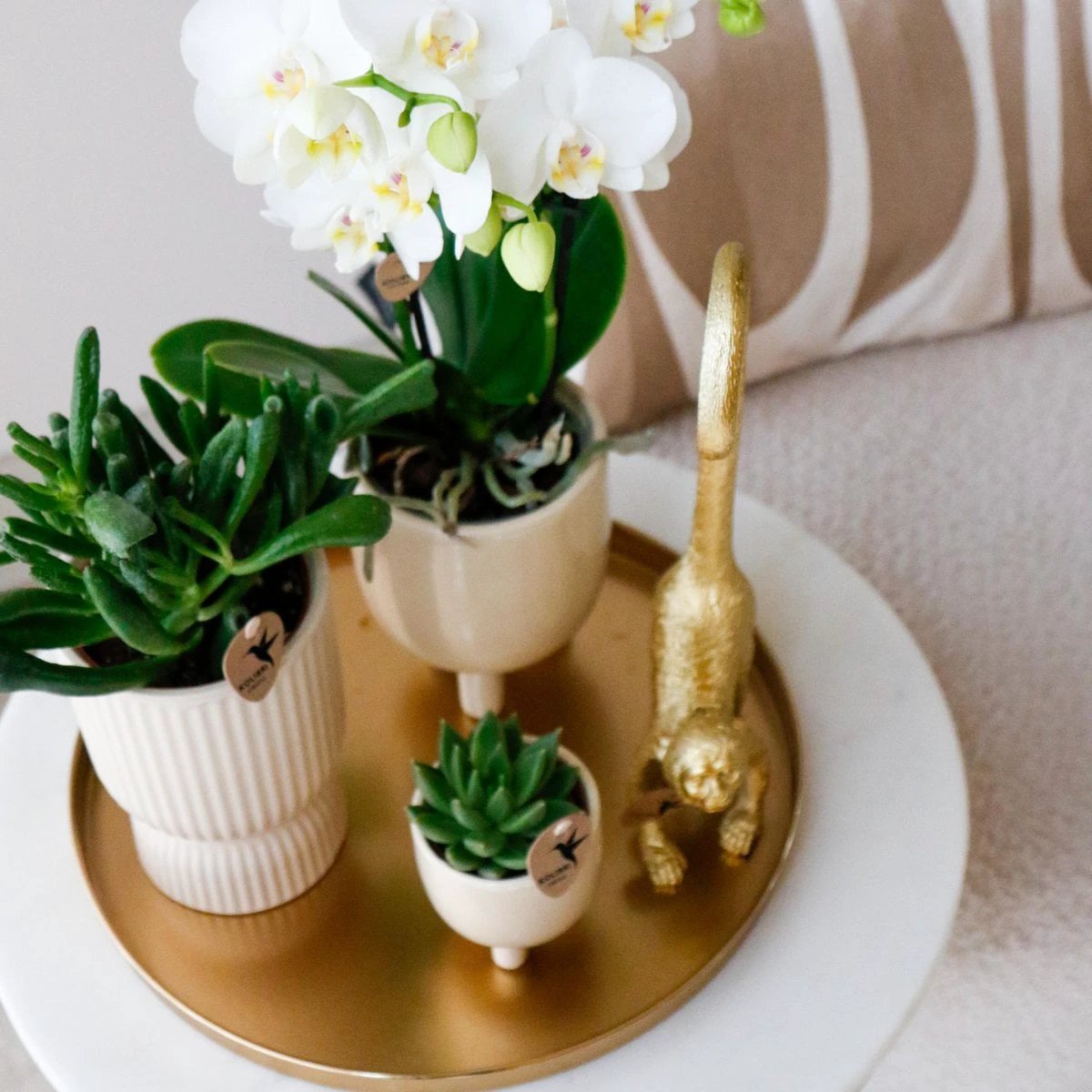 Hummingbird Home | Decorative bowl - Round gold tray Ø30cm by Kolibri Company