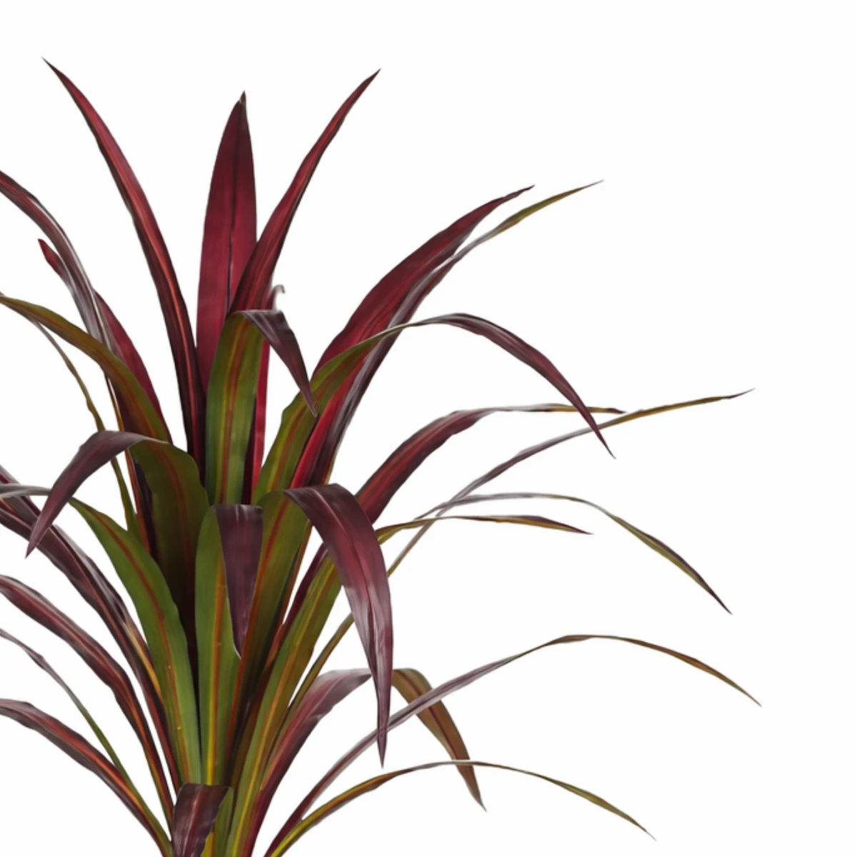 Artificial Plant Banana Tree Red by Mica Decorations