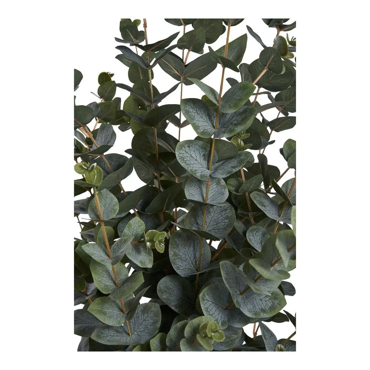 Eucalyptus Tree - Green, PE Plastic, Polyester, Wire, Cement, 120cm by EMIRELLE