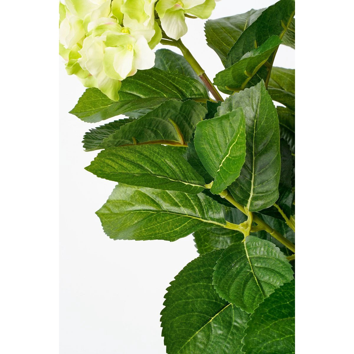 Art plant Hyddongea Creme by Mica Decorations