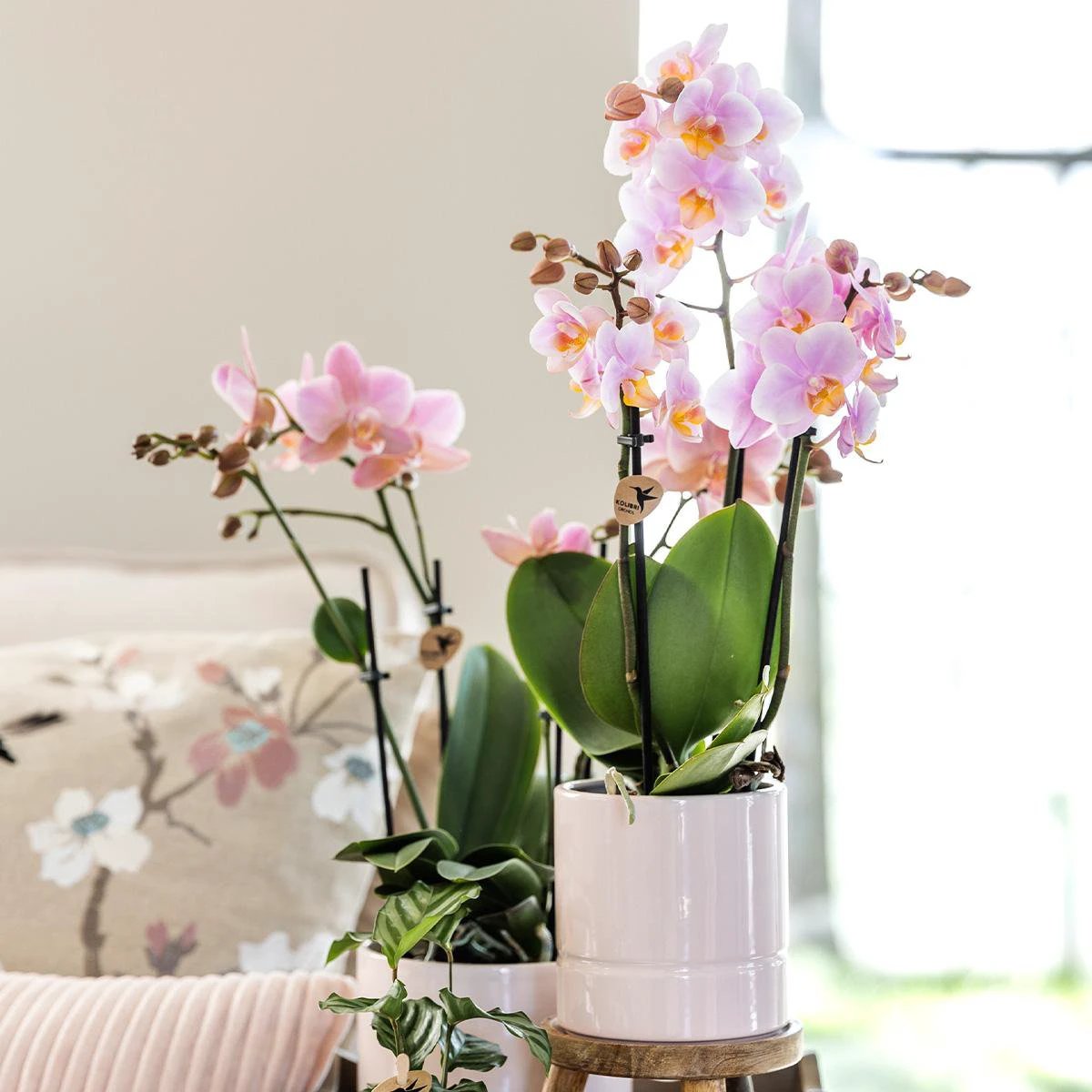 Hummingbird Home | Pastel pot white - Ø9cm by Kolibri Company