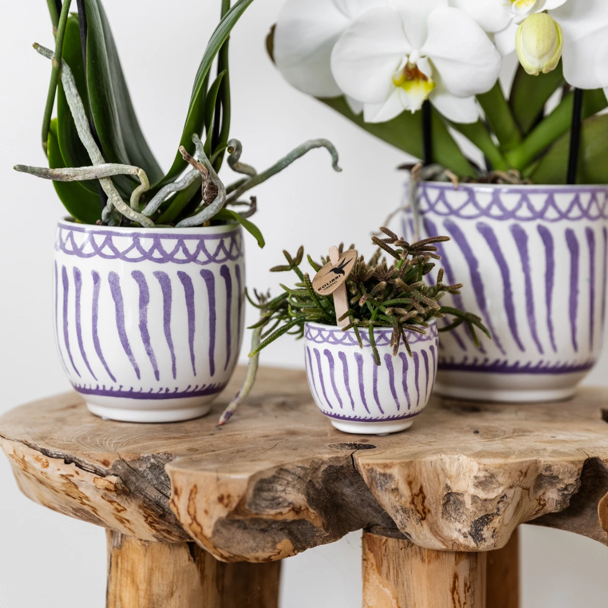 Kolibri Home | Granada - Lilac - Ø9cm by Kolibri Company