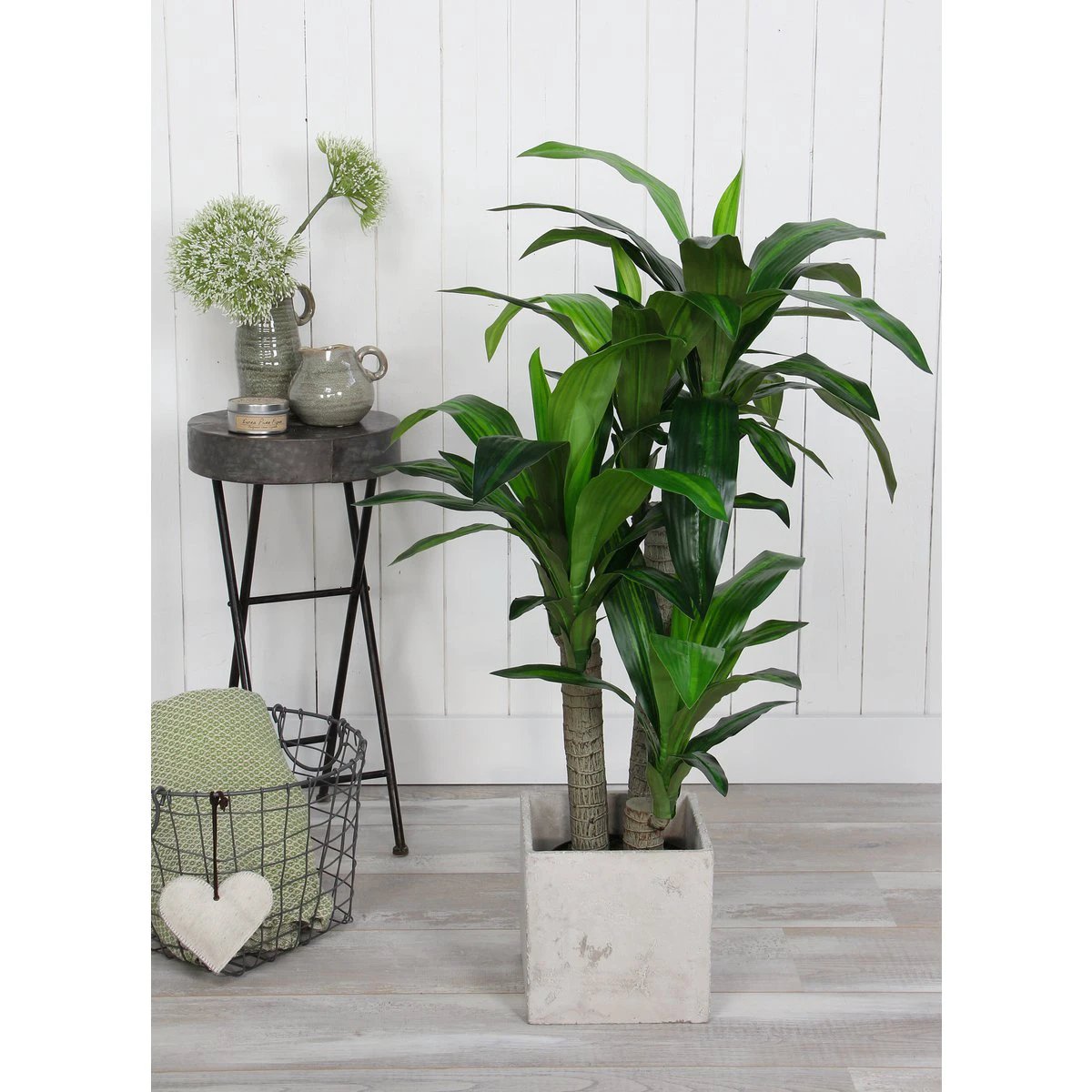 Artificial plant Dracaena Green by Mica Decorations