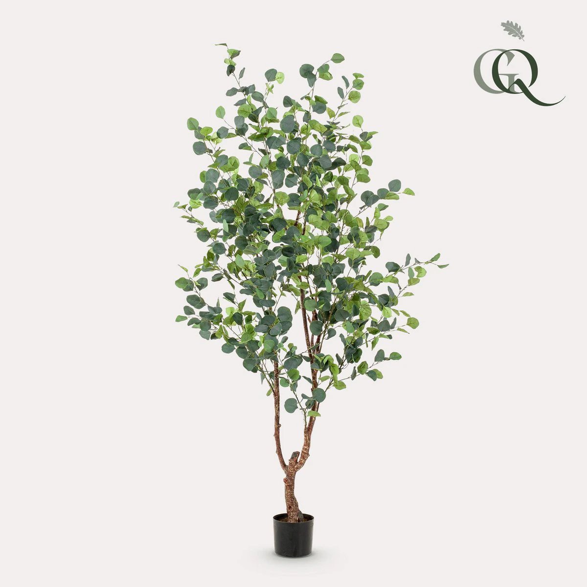 Artificial plant - Eucalyptus - Blue Gum Tree - 180 cm by Green boutiQ