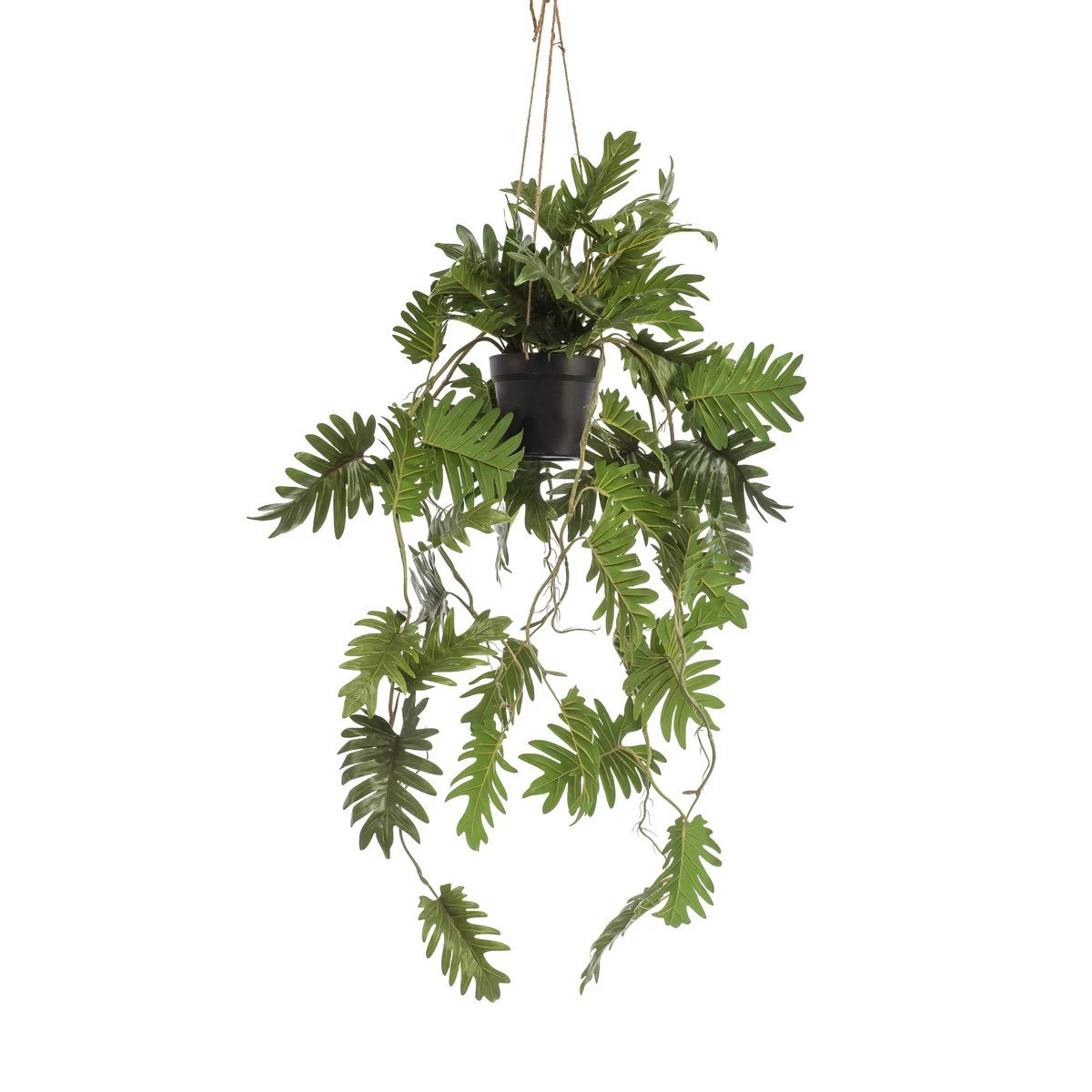 Kunstpflanze – Philodendron – kletternder Baumfreund – 80 cm von Green boutiQ