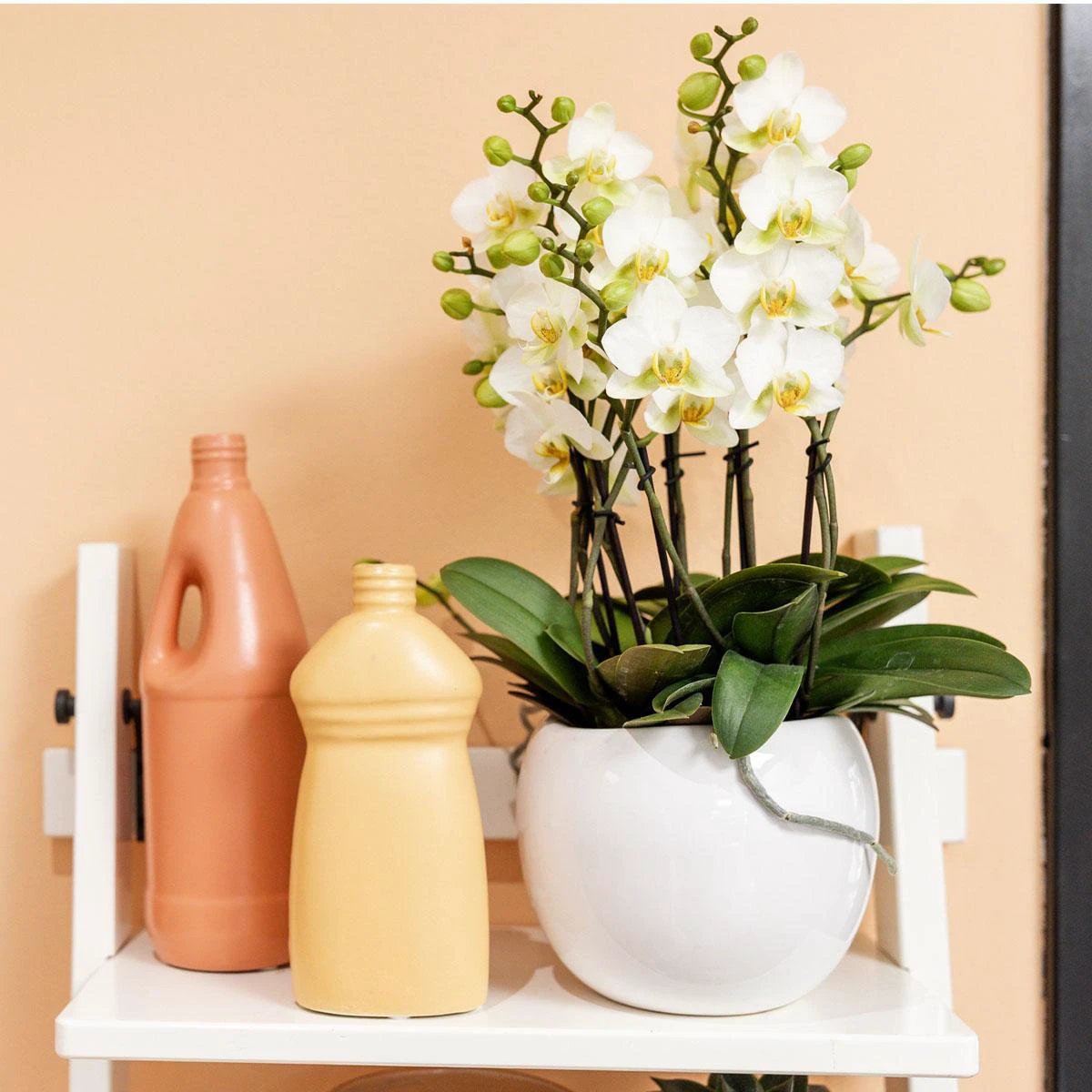 Hummingbird Home | Bowl flower pot - White ceramic decorative pot - pot size Ø9cm by Kolibri Company