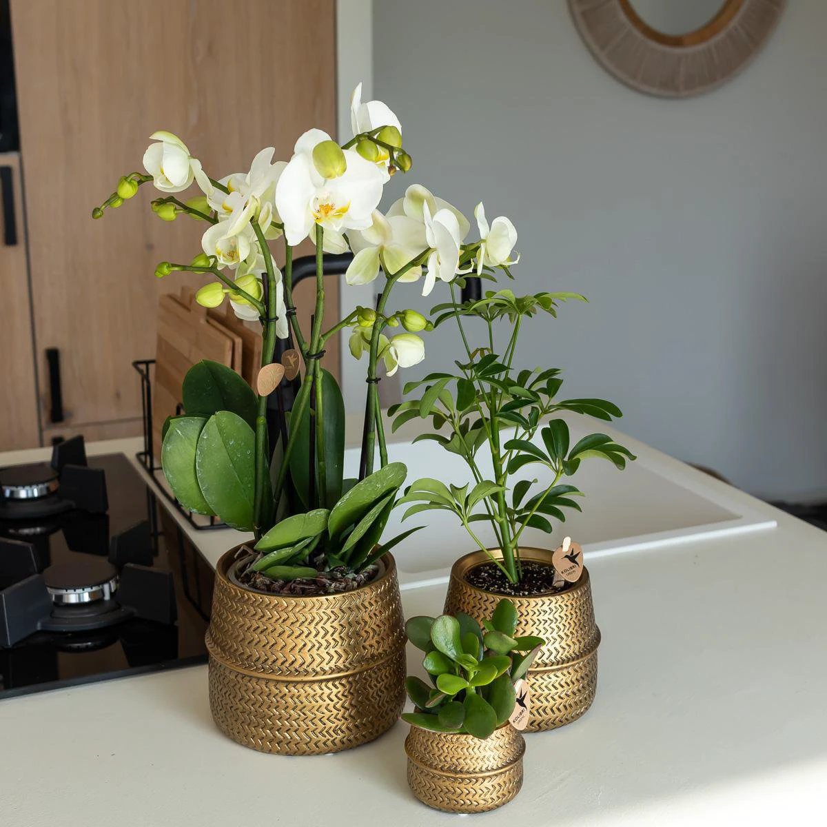 Hummingbird Home | Groove flower pot - Golden ceramic decorative pot - pot size - Ø6cm by Kolibri Company