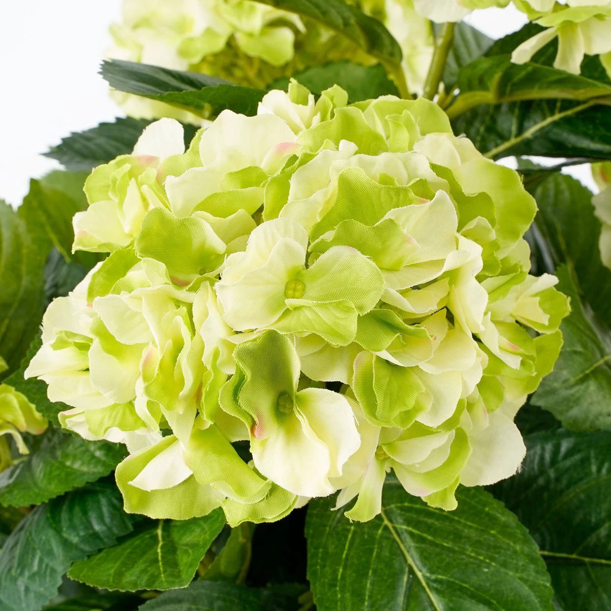 Art plant Hyddongea Creme by Mica Decorations