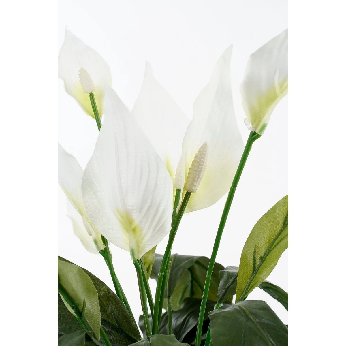 Artificial plant Spathiphyllum White by Mica Decorations