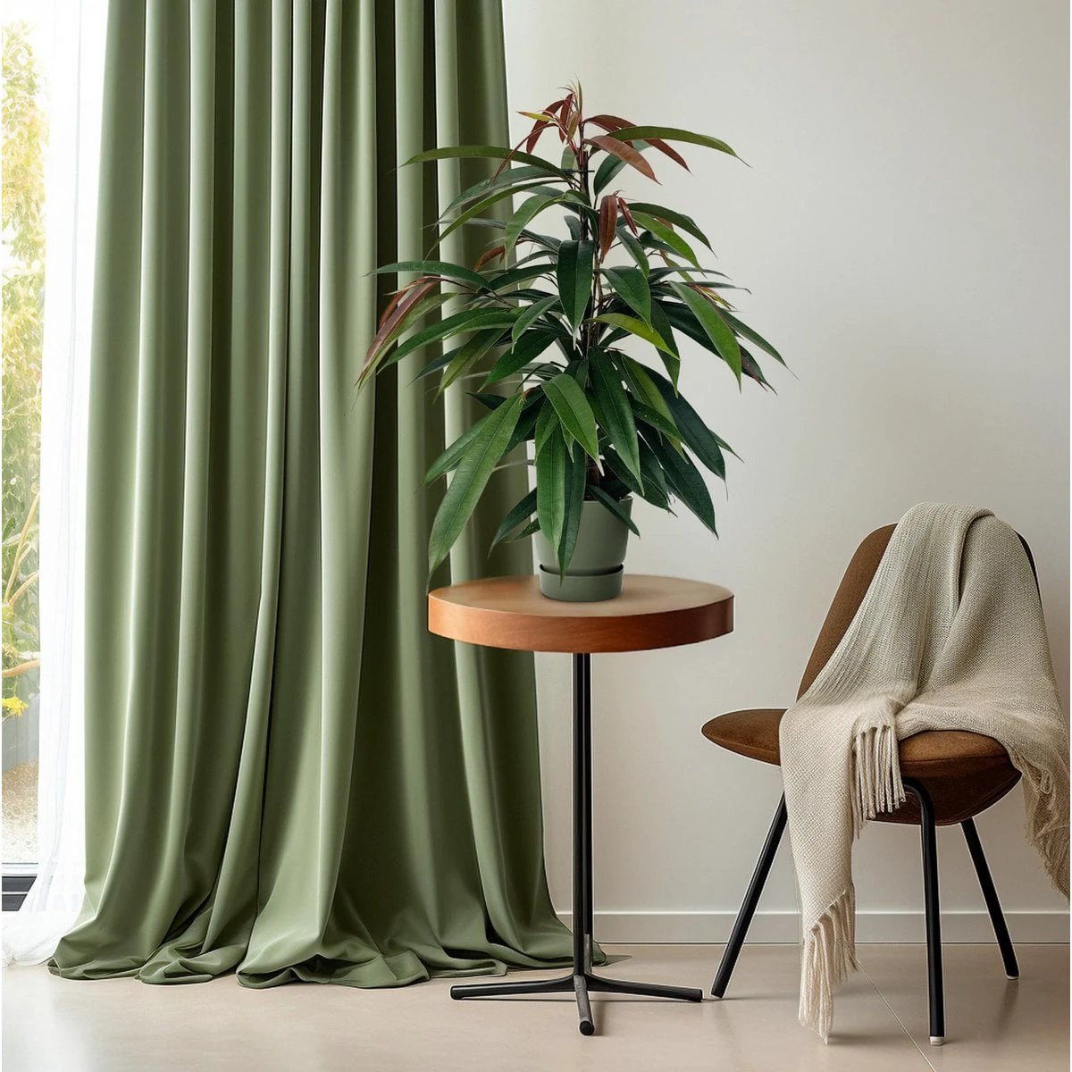 Ficus Binnendijkii 'Amstel King' P17 - Ø17cm - ↕75cm by MEERgroothandel Planten