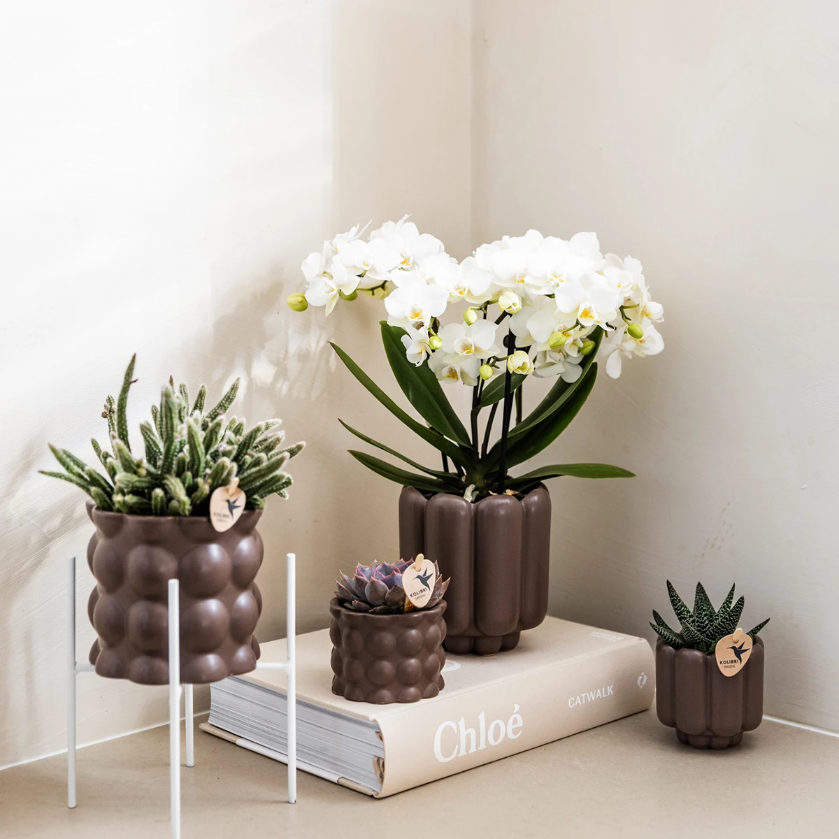 Kolibri Home | Retro Sierpot - Brown - Ø6cm by Kolibri Company