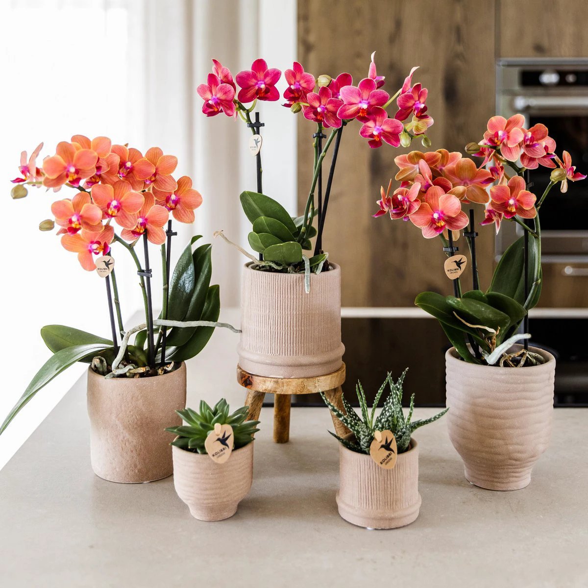 Hummingbird Home | Plant stand - Wooden plant raiser Ø12cm by Kolibri Company