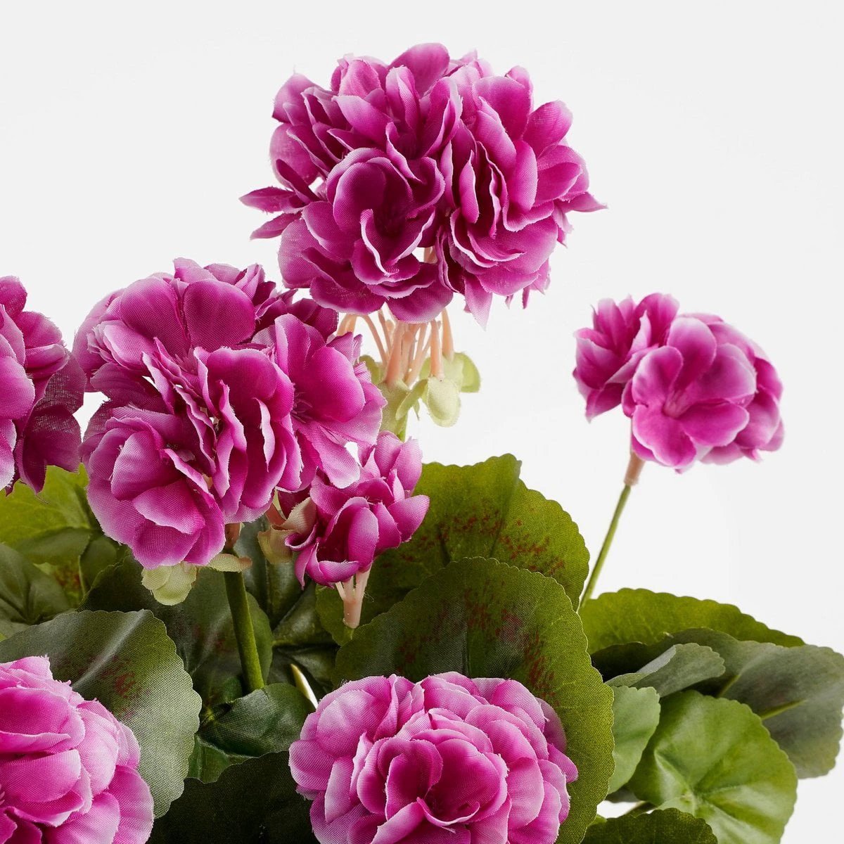 Artificial plant Geranium Pink by Mica Decorations