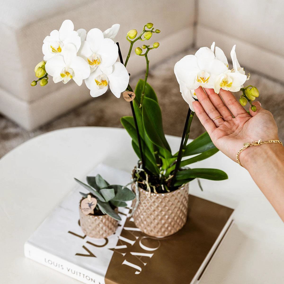 Kolibri Home | Diamond pearl sierpot - Sand - Ø9cm by Kolibri Company