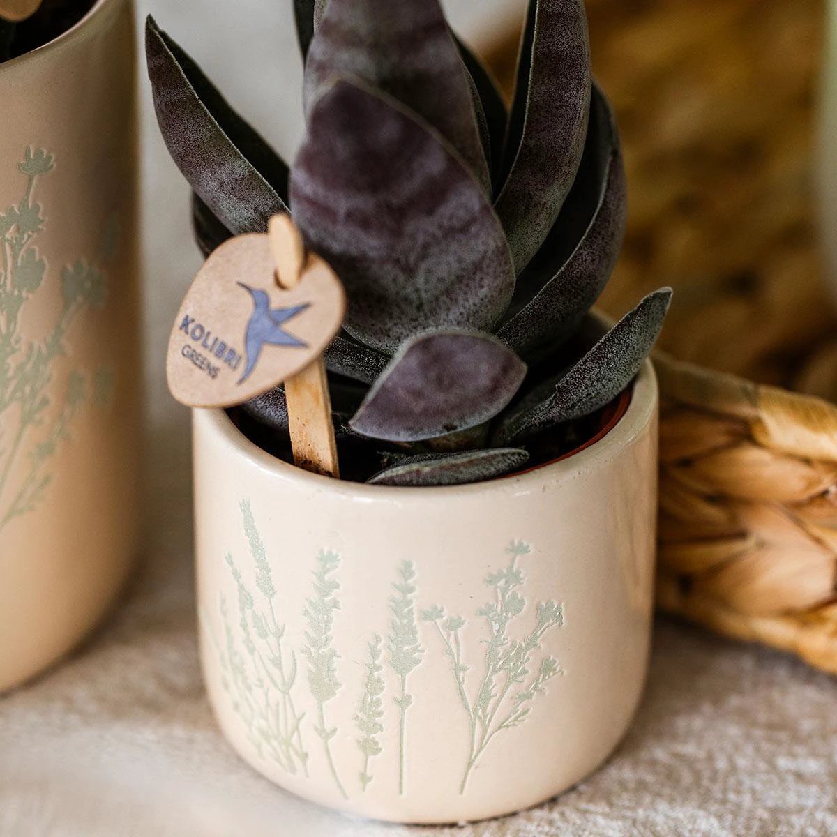Kolibri Home | Floral bloempot - Light Blue - 6cm by Kolibri Company