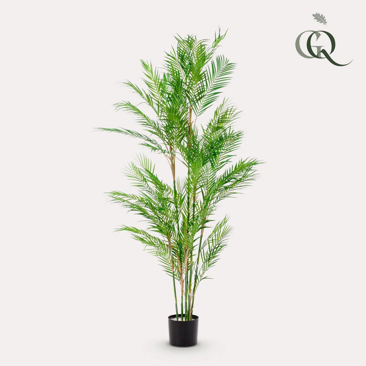 Art plant - Chamaedorea Elegans - Bergpalm - 180 cm by Green boutiQ