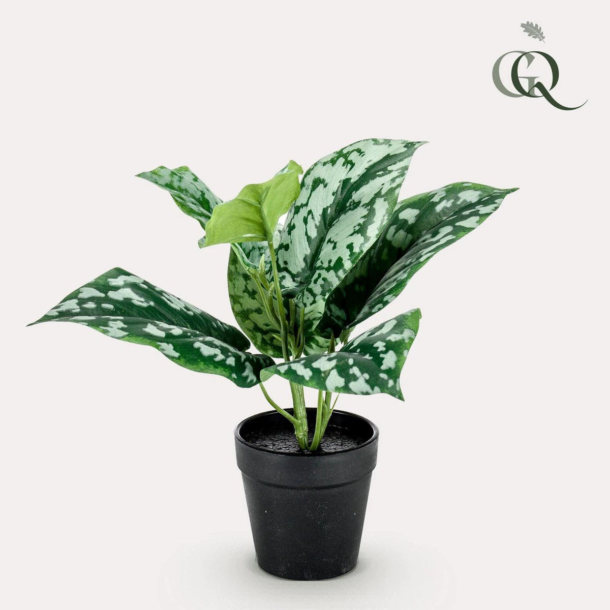 Artificial plant - Scindapsus Pictus - Lucky plant - 30 cm by Green boutiQ