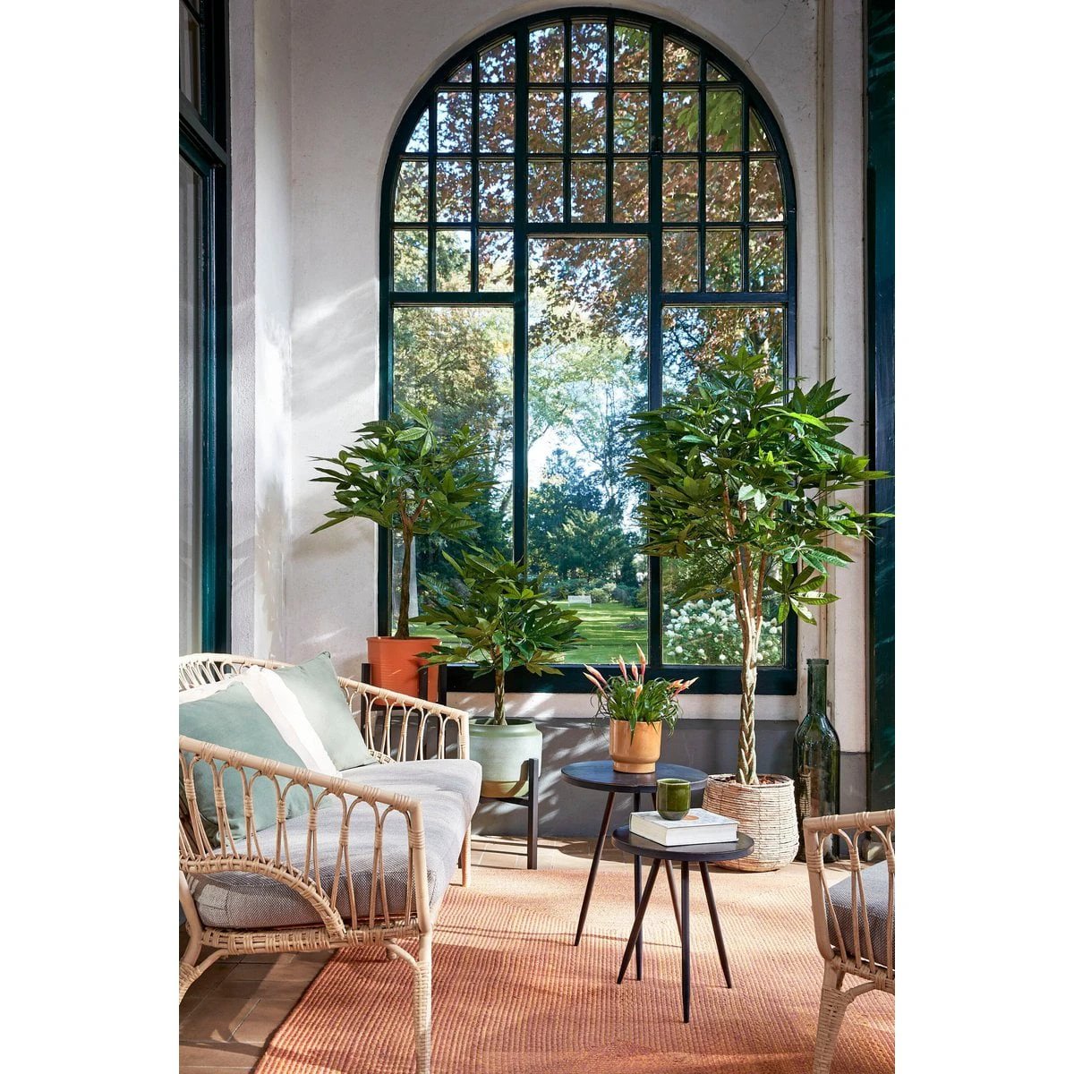 Artificial plant Pachira Green by Mica Decorations