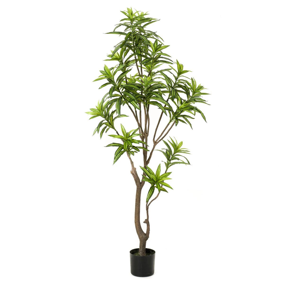 Artificial plant - Dracaena - Dragon tree - 155 cm by Green boutiQ