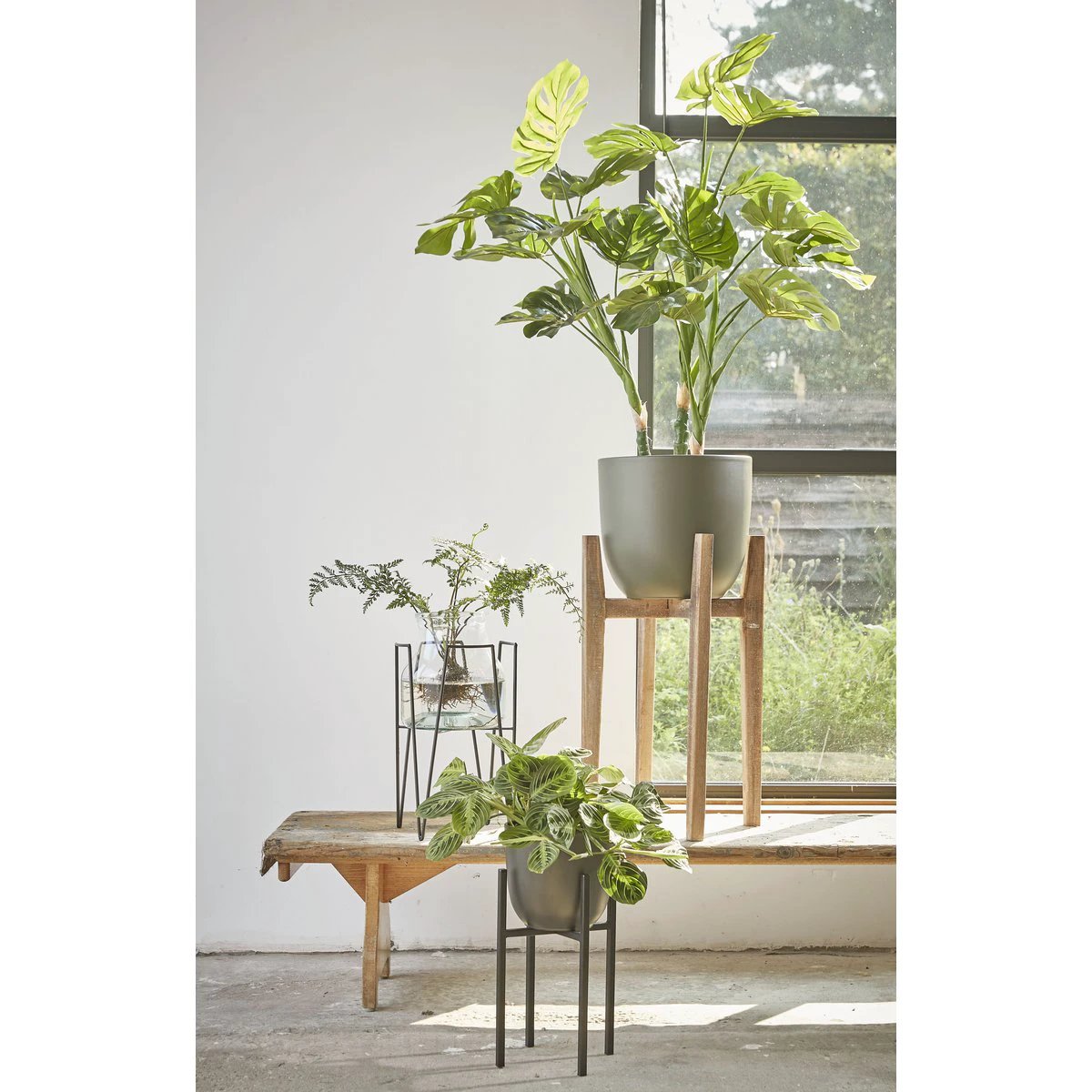 Plant stand Ascot Black by Mica Decorations
