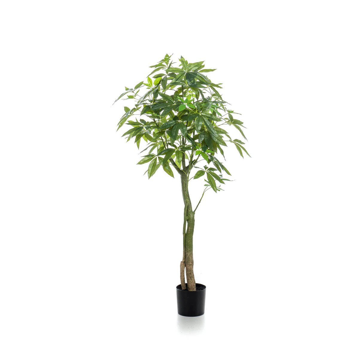 Kunstpflanze – Pachira Aquatica – Geldbaum – 150 cm von Green boutiQ